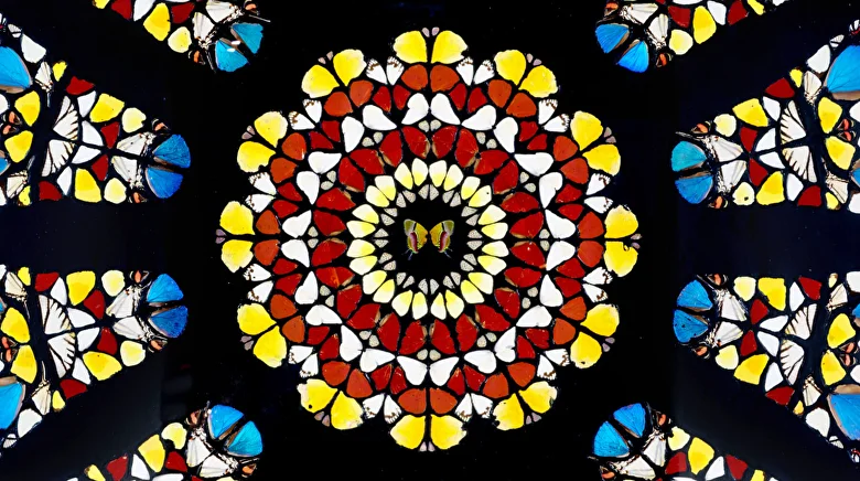 Collection Highlights: The Rose Window, Durham Cathedral 2008 by Damien  Hirst